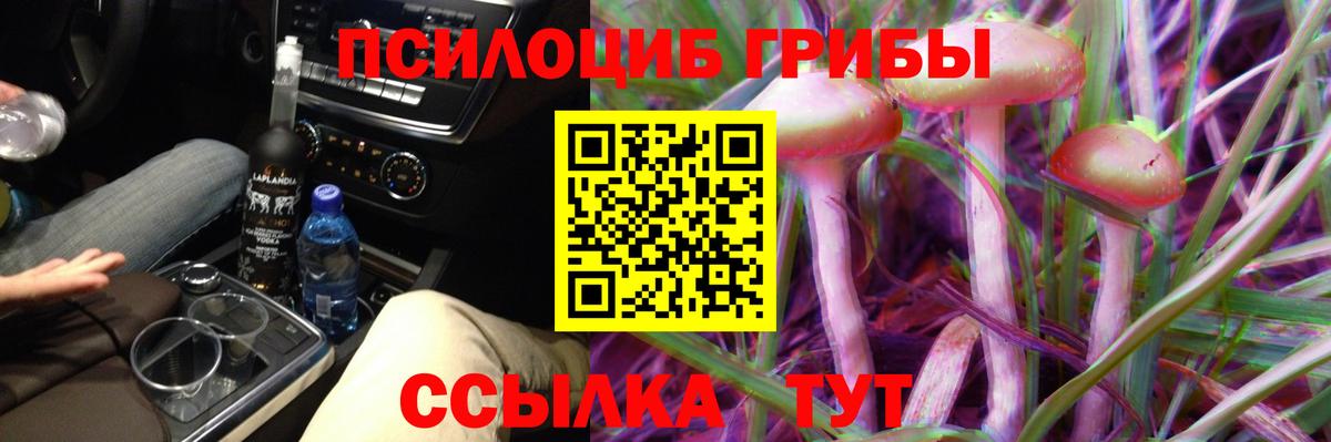 Псилоцибиновые грибы прущие грибы  что такое   Псилоцибиновые грибы прущие грибы  Нефтекумск  Вход с VPN 
